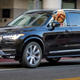 Illustration for article titled People Are Gobbling Up Volvo XC90s Like Delicious Swedish Meatballs